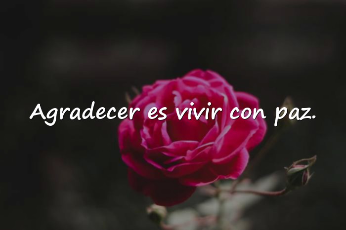 Imágenes agradecer frases - 25