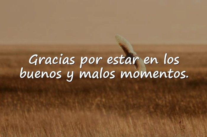 Imágenes agradecer frases - 21