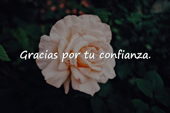 Imágenes agradecer frases - 12