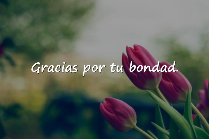 Imágenes agradecer frases - 5