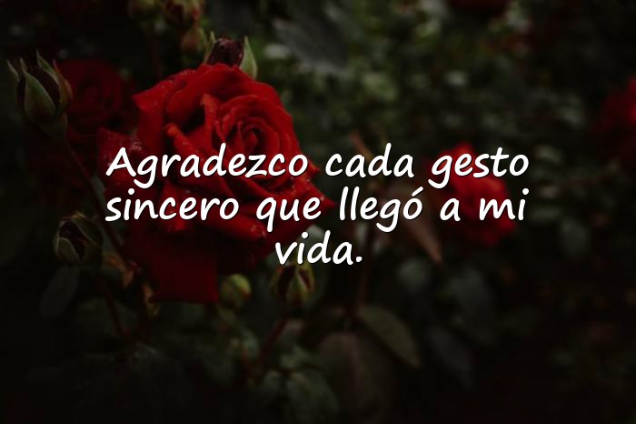 Imágenes agradecimiento frases - 21