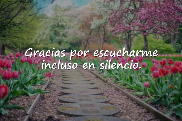 Imágenes agradecimiento frases - 16