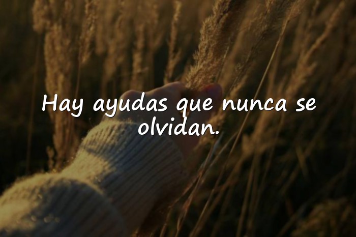 Imágenes agradecimiento frases - 11