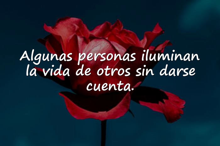 Imágenes agradecimiento frases - 6