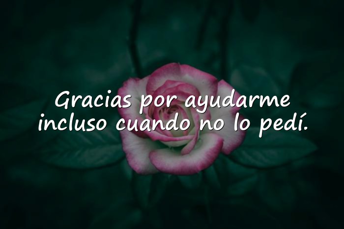 Imágenes agradecimiento frases - 1