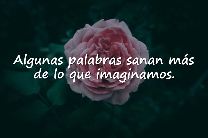 Imágenes agradecimiento frases - 21
