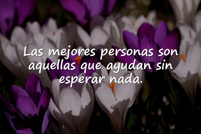 Imágenes agradecimiento frases - 16