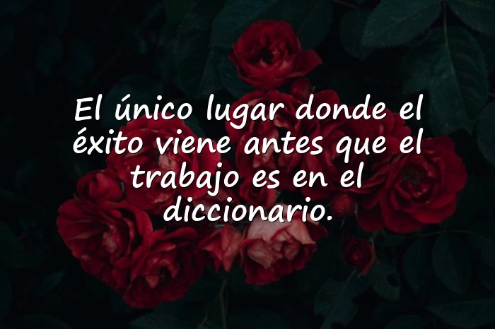Imágenes albert einstein frases - 19