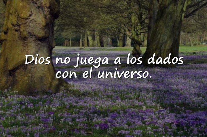 Imágenes albert einstein frases - 14