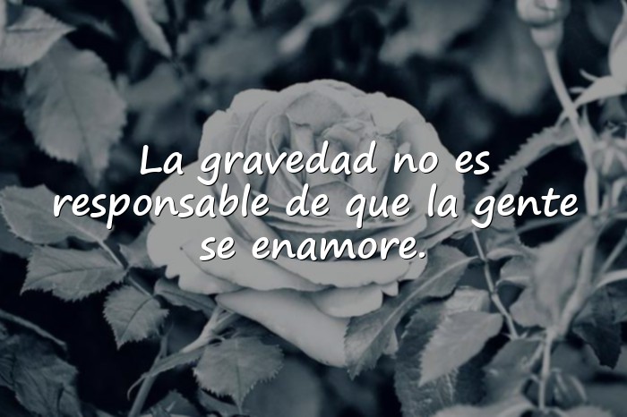 Imágenes albert einstein frases - 4
