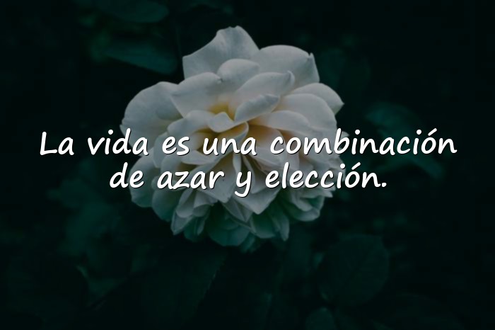 Imágenes albert einstein frases - 1