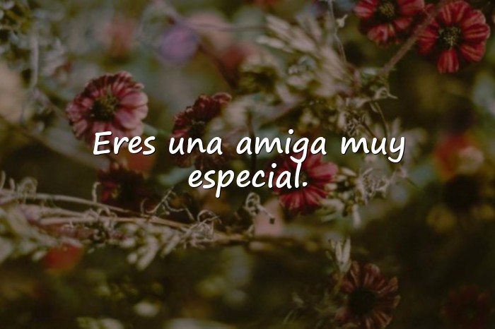 Imágenes amigas frases - 25