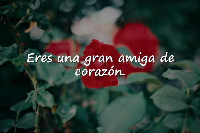 Imágenes amigas frases - 23