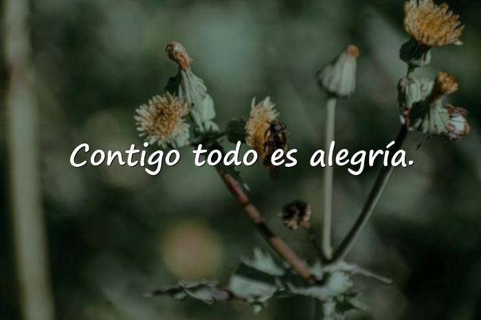 Imágenes amigas frases - 20