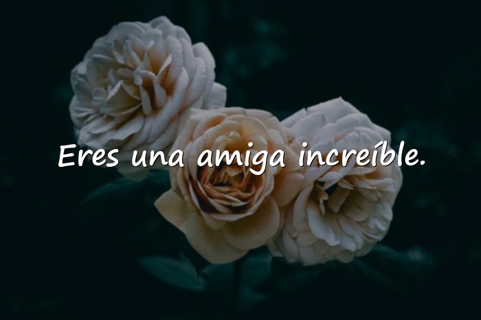 Imágenes amigas frases - 18