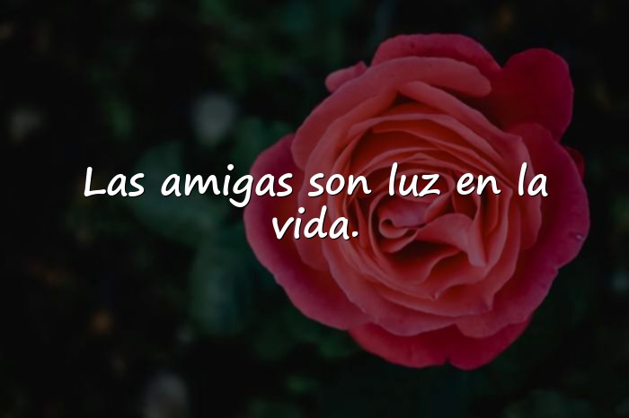 Imágenes amigas frases - 17