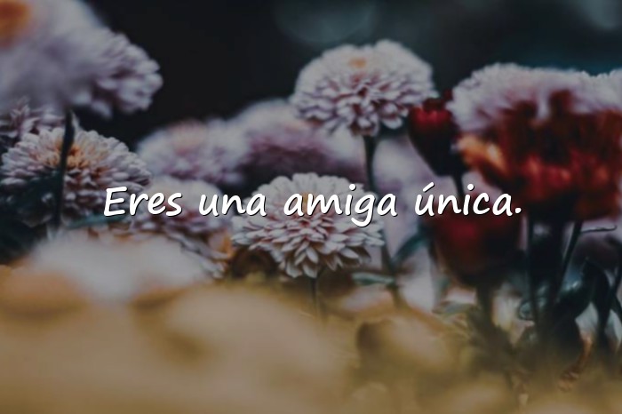 Imágenes amigas frases - 13