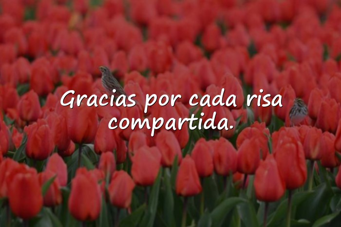 Imágenes amigas frases - 6