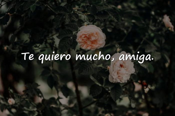 Imágenes amigas frases - 1