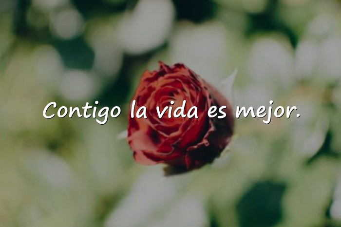 Imágenes amigo frases - 22