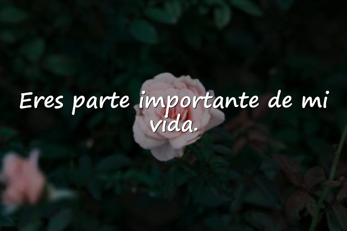 Imágenes amigo frases - 17