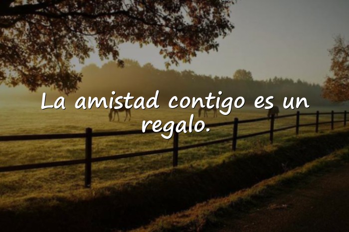 Imágenes amigo frases - 14