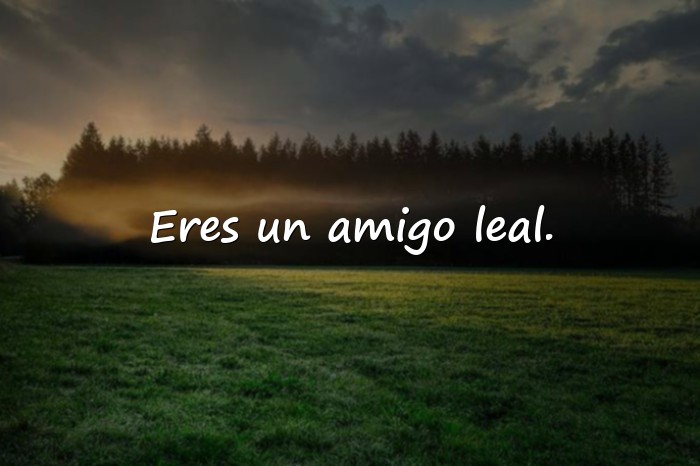 Imágenes amigo frases - 12