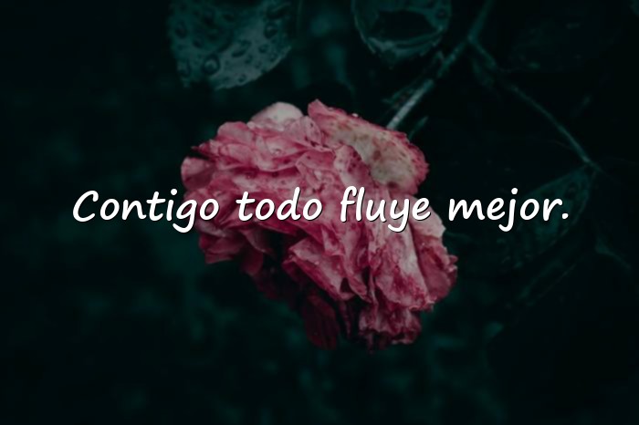 Imágenes amigo frases - 4