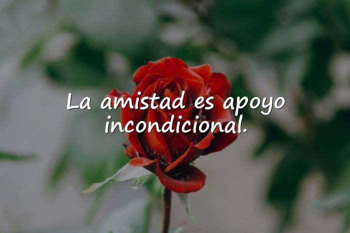 Imágenes amistad frases - 11