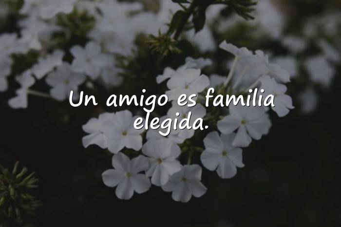 Imágenes amistad frases - 8