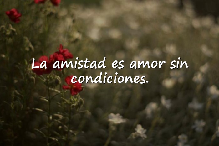 Imágenes amistad frases - 5