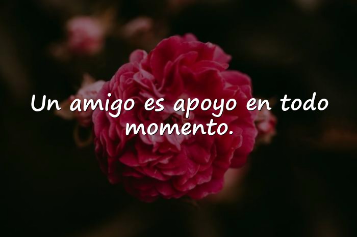 Imágenes amistad frases - 2