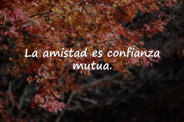 Imágenes amistad frases - 23