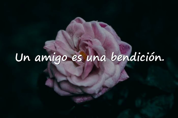 Imágenes amistad frases - 19