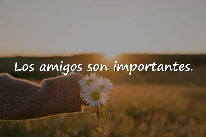 Imágenes amistad frases - 11