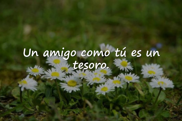 Imágenes amistad frases - 1