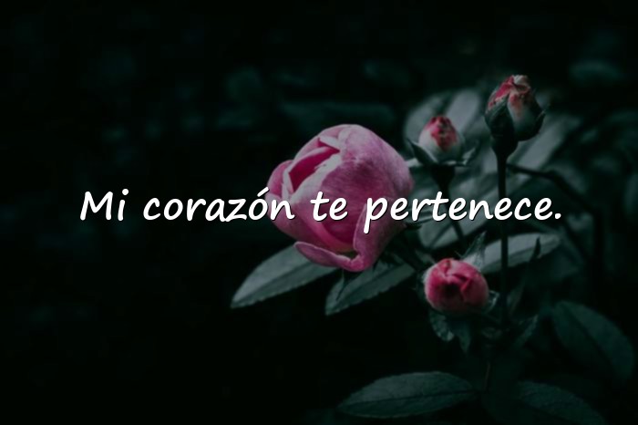 Imágenes amor frases - 7