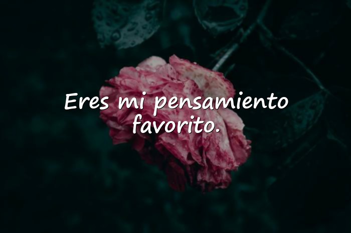 Imágenes amor frases - 2