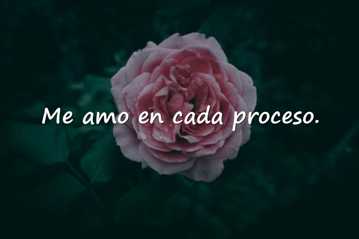 Imágenes amor propio frases - 6