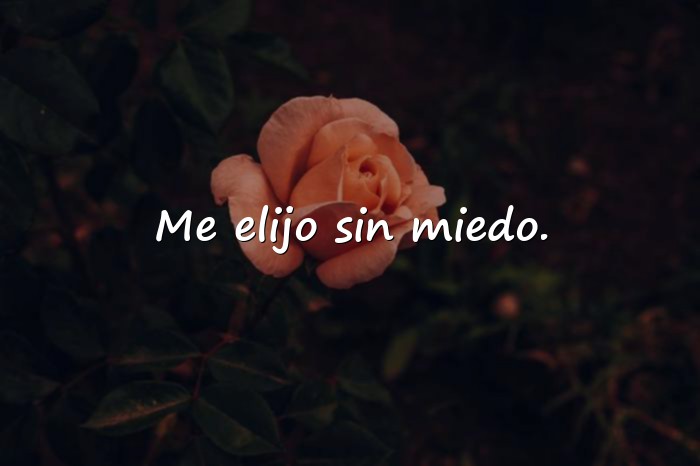 Imágenes amor propio frases - 10