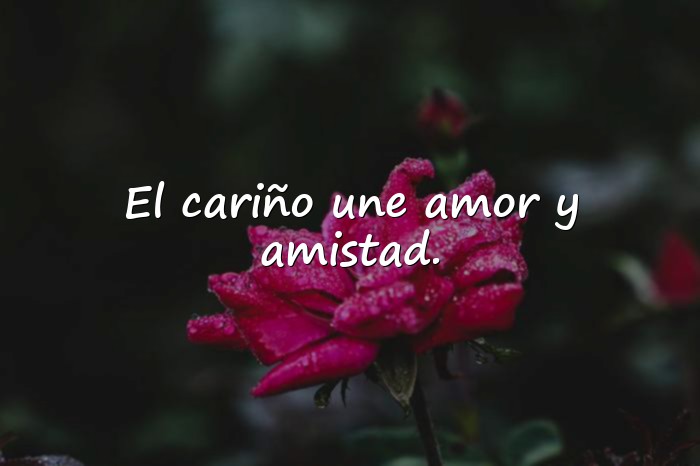 Imágenes amor y amistad frases - 9