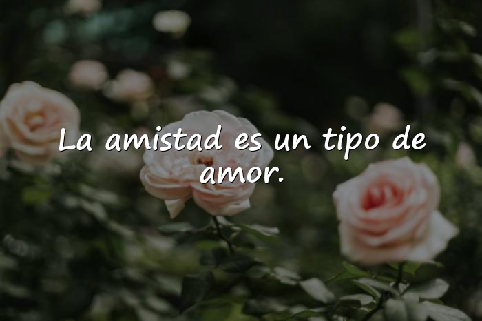Imágenes amor y amistad frases - 4