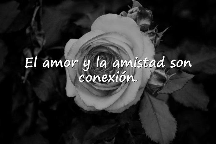 Imágenes amor y amistad frases - 20