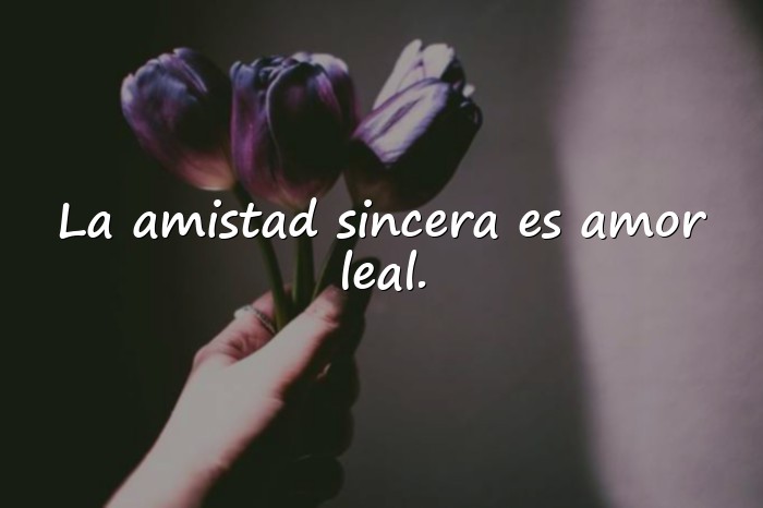 Imágenes amor y amistad frases - 15