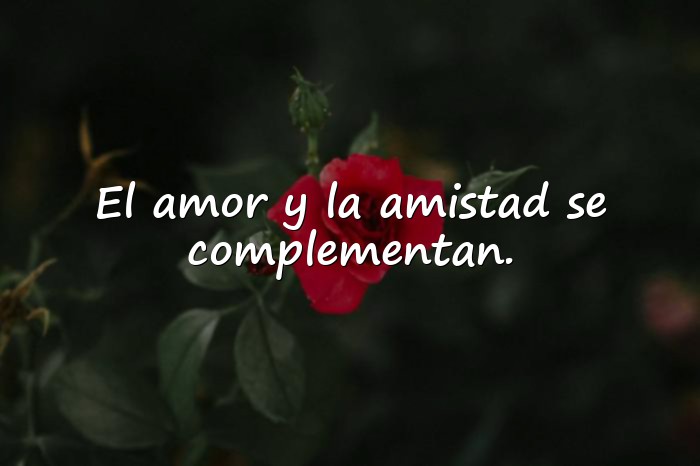 Imágenes amor y amistad frases - 10