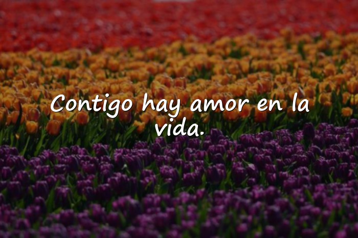 Imágenes amor y amistad frases - 5