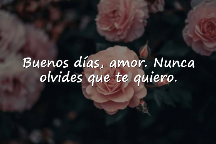 Imágenes buen día amor - 1