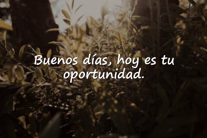 Imágenes buen día frases - 22