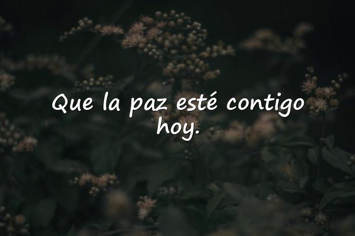 Imágenes buen día frases - 19