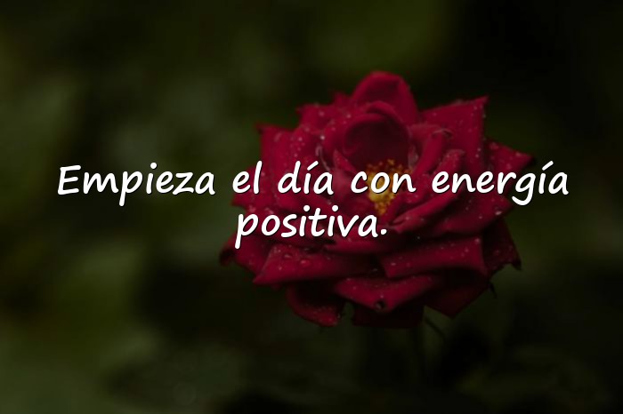 Imágenes buen día frases - 16